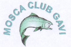 Mosca Club