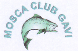 Mosca Club